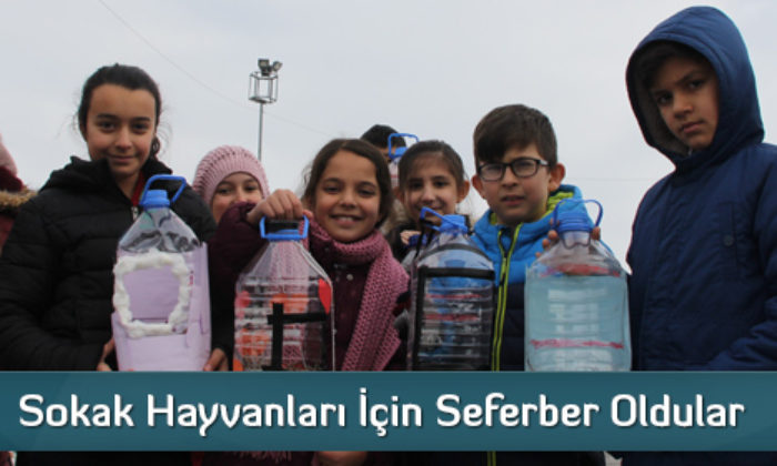 Sokak Hayvanları İçin Seferber Oldular 