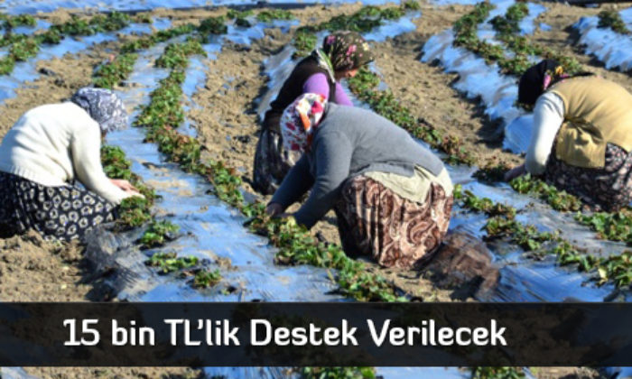 15 bin TL’lik Destek Verilecek