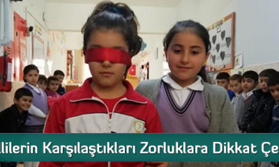 Öğrenciler, Engellilerin Karşılaştıkları Zorluklara Dikkat Çekti  