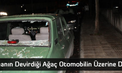 Fırtınanın Devirdiği Ağaç Otomobilin Üzerine Düştü