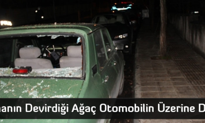 Fırtınanın Devirdiği Ağaç Otomobilin Üzerine Düştü
