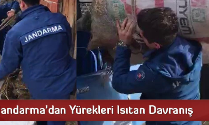Jandarma’dan Yürekleri Isıtan Davranış