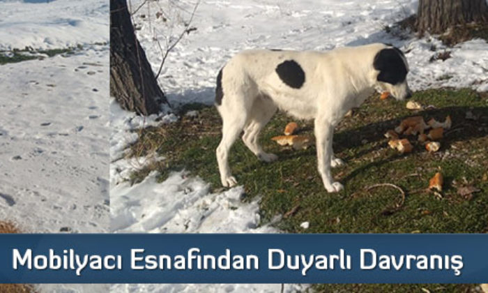 Mobilyacı Esnafından Duyarlı Davranış