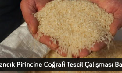 Osmancık Pirincine Coğrafi Tescil Çalışması Başlatıldı