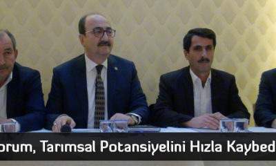  ‘Çorum, Tarımsal Potansiyelini Hızla Kaybediyor’