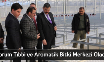 Çorum Tıbbi ve Aromatik Bitki Merkezi Olacak