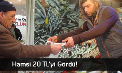 Hamsi 20 TL’yi Gördü