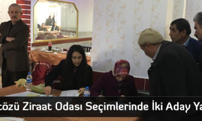 Mecitözü Ziraat Odası Başkanlığı İçin İki Aday Yarıştı