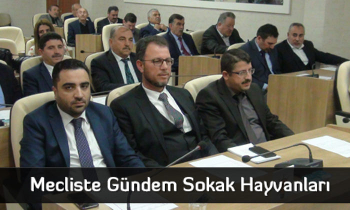 Mecliste Gündem Sokak Hayvanları