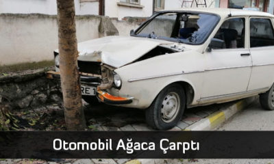 Otomobil Ağaca Çarptı: 2 Yaralı