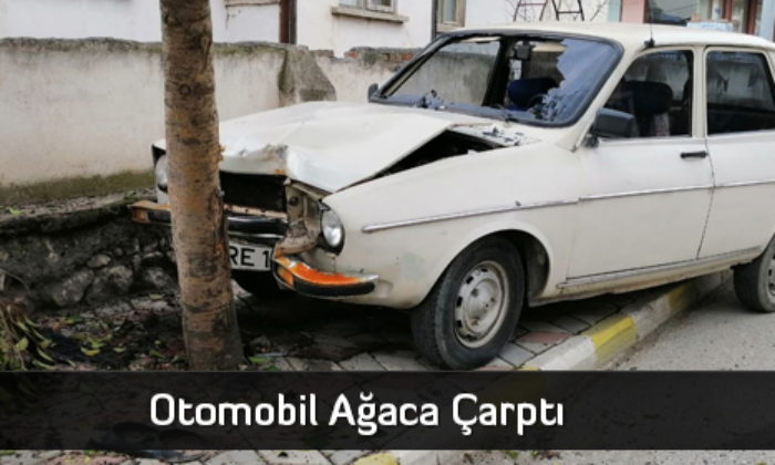 Otomobil Ağaca Çarptı: 2 Yaralı  