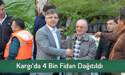 Kargı’da 4 Bin Fidan Dağıtıldı  