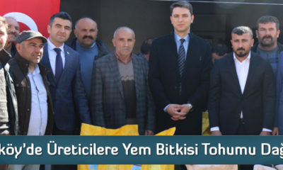 Ortaköy’de Üreticilere Yem Bitkisi Tohumu Dağıtıldı