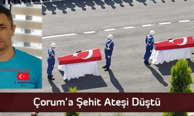 Çorum’a Şehit Ateşi Düştü