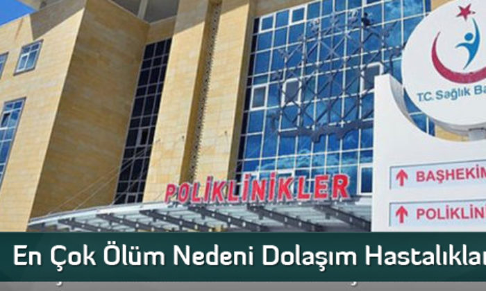 En Çok Ölüm Nedeni Dolaşım Hastalıkları