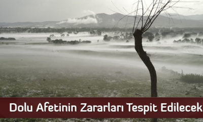 Dolu Afetinin Zararları Tespit Edilecek