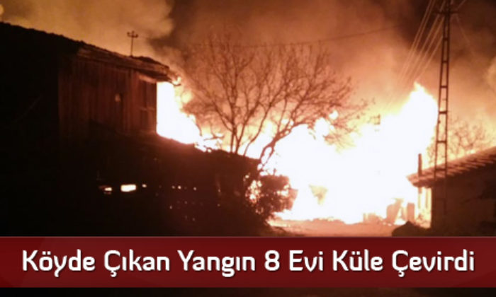 Köyde Çıkan Yangın 8 Evi Küle Çevirdi
