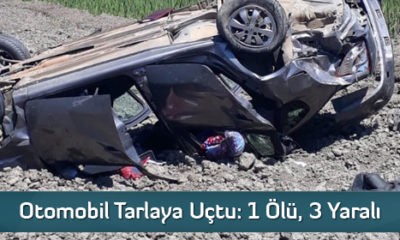 Otomobil Tarlaya Uçtu: 1 Ölü, 3 Yaralı