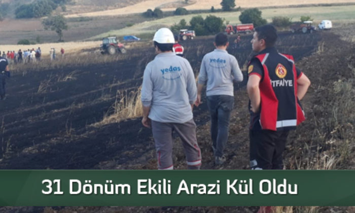 31 Dönüm Ekili Arazi Kül Oldu