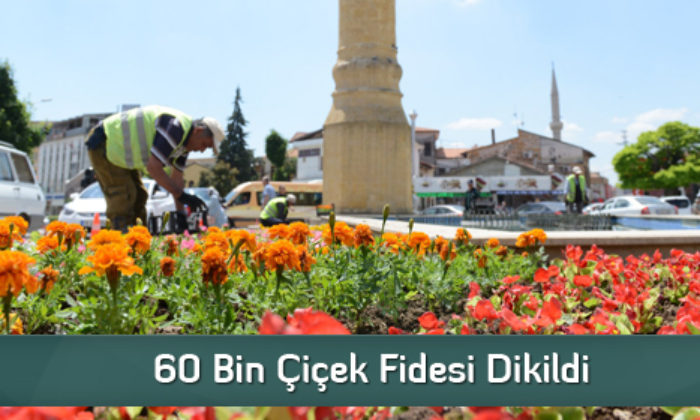 60 Bin Çiçek Fidesi Dikildi