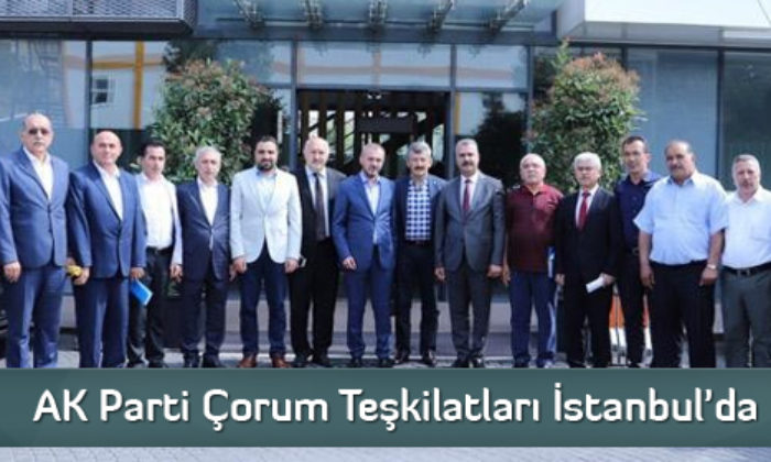 AK Parti Çorum Teşkilatları İstanbul’da