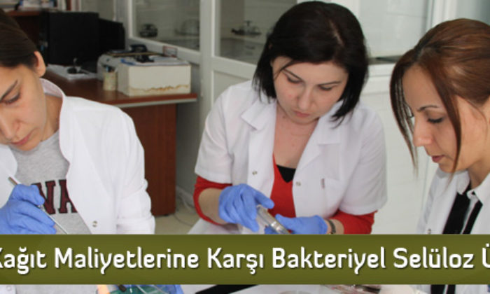 Artan Kağıt Maliyetlerine Karşı Bakteriyel Selüloz Ürettiler