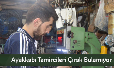 Ayakkabı Tamircileri Çırak Bulamıyor
