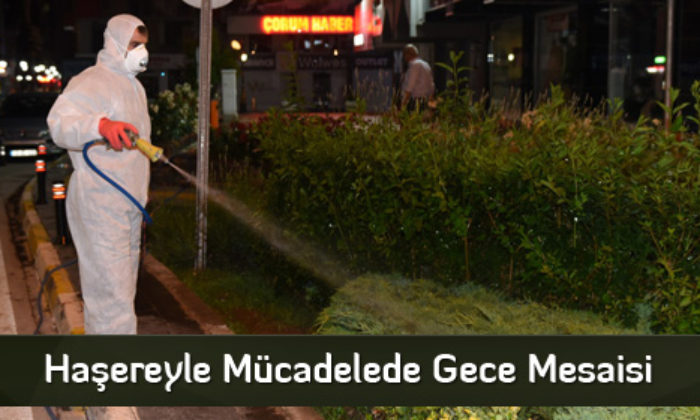 Haşereyle Mücadelede Gece Mesaisi