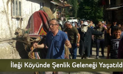 İleği Köyünde Şenlik Geleneği Yaşatıldı