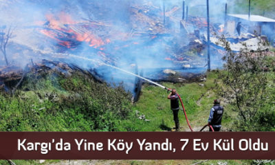 Kargı’da Yine Köy Yandı, 7 Ev Kül Oldu