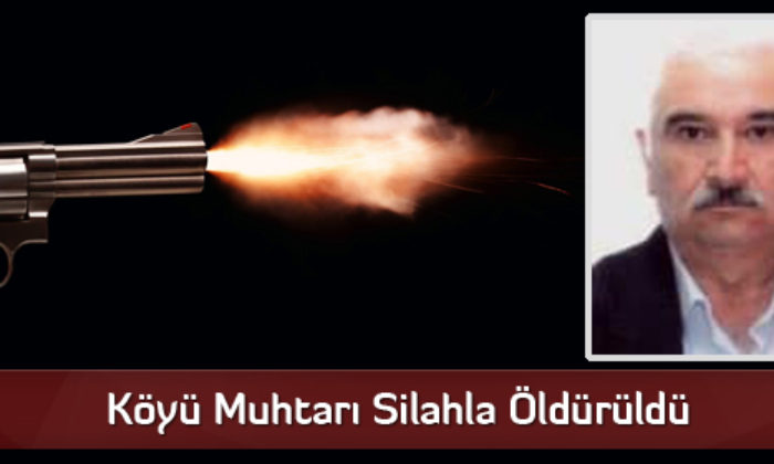 Köyü Muhtarı Silahla Öldürüldü