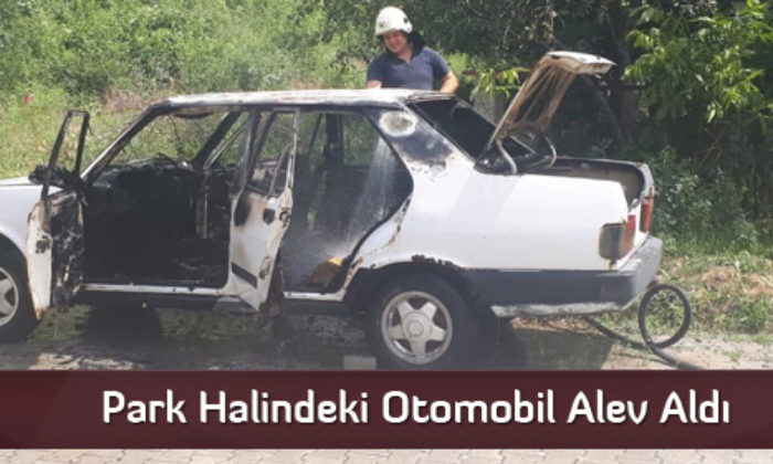 Park Halindeki Otomobil Alev Aldı