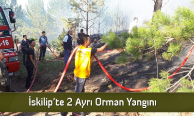 İskilip’te 2 Ayrı Orman Yangını