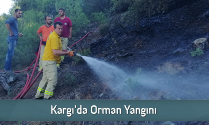 Kargı’da Orman Yangını