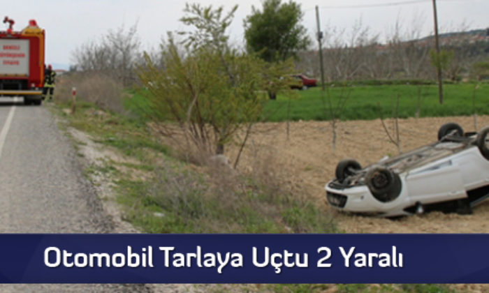 Otomobil Tarlaya Uçtu 2 Yaralı