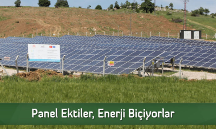 Panel Ektiler, Enerji Biçiyorlar