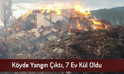 Köyde Yangın Çıktı, 7 Ev Kül Oldu
