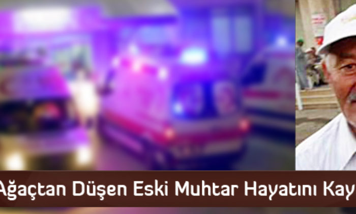 Ağaçtan Düşen Eski Muhtar Hayatını Kaybetti