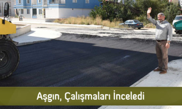 Aşgın, Çalışmaları İnceledi