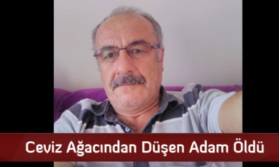 Çorum’da Ceviz Ağacından Düşen Kişi Öldü