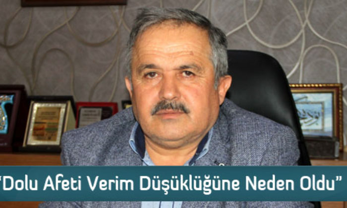 “Dolu Afeti Verim Düşüklüğüne Neden Oldu”