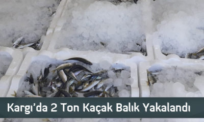 Kargı’da 2 Ton Kaçak Balık Yakalandı