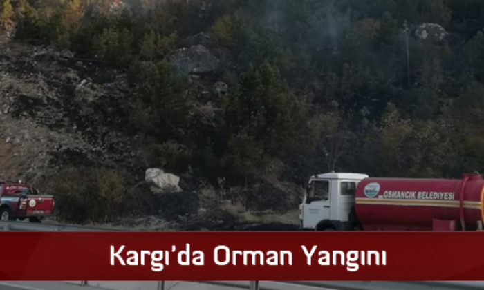 Kargı’da Orman Yangını