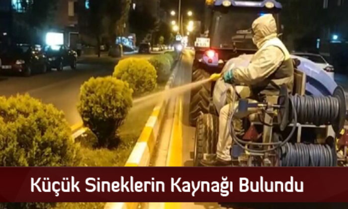 Küçük Sineklerin Kaynağı Bulundu
