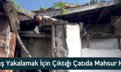 Kuş Yakalamak İçin Çıktığı Çatıda Mahsur Kaldı