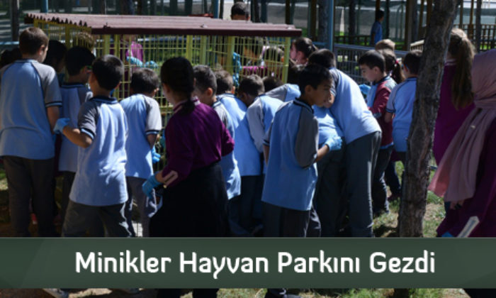 Minikler Hayvan Parkını Gezdi