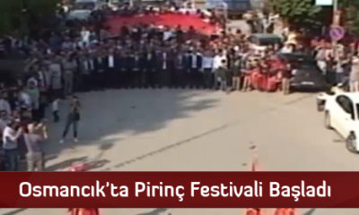 Osmancık’ta Pirinç Festivali Başladı