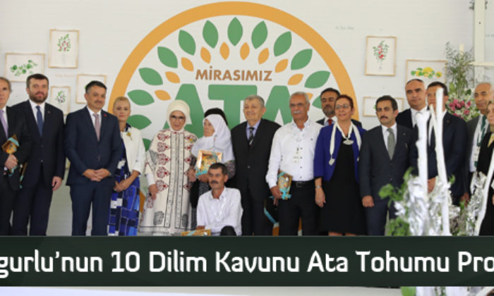 Sungurlu’nun 10 Dilim Kavunu Ata Tohumu Projesinde