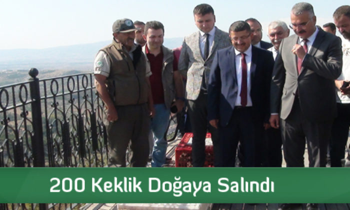 200 Keklik Doğaya Salındı