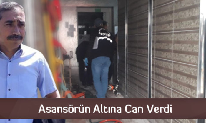 Asansörün Altına Can Verdi